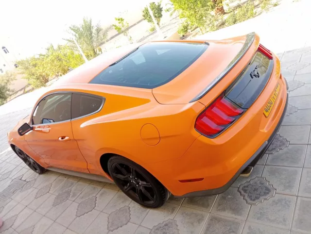 صورة 3