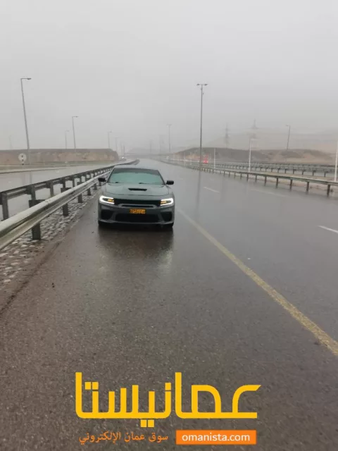 صورة 3