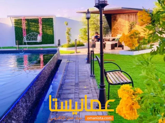 صورة 2