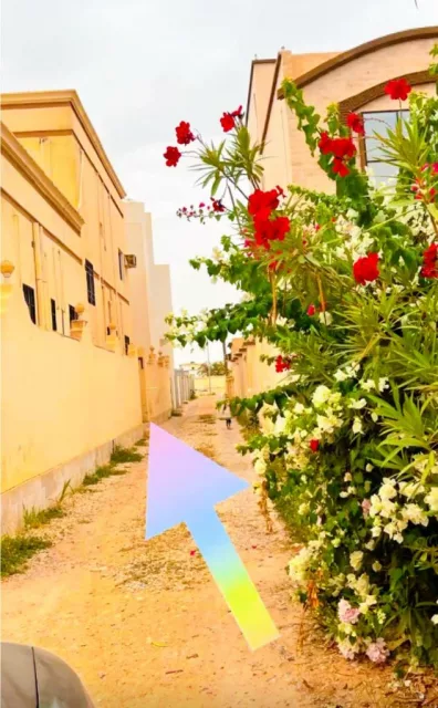 صورة 7
