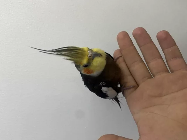 صورة 5