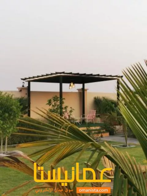 صورة 3