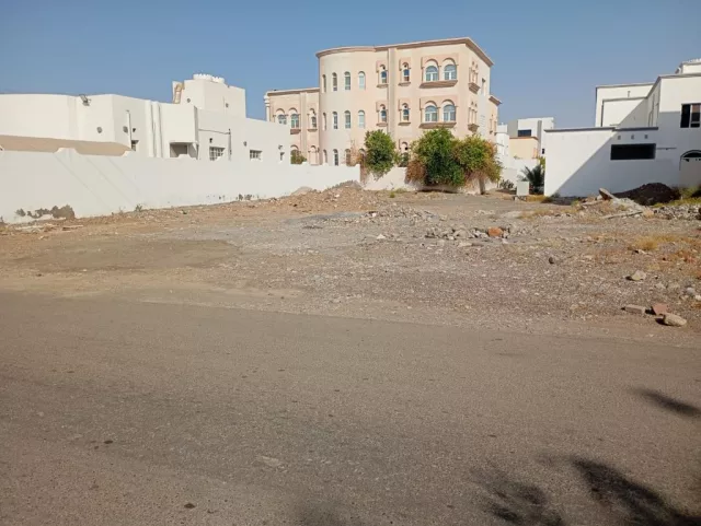 صورة 2