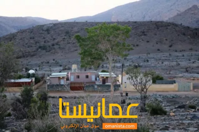 صورة 10