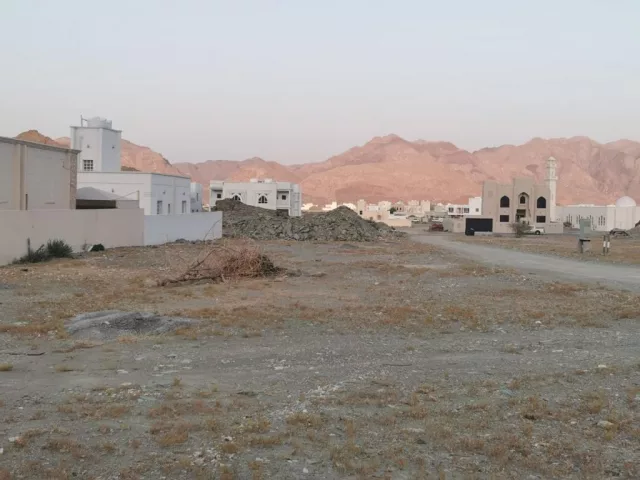 صورة 2