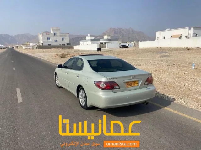 صورة 8