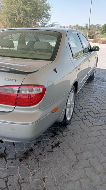 صورة 7