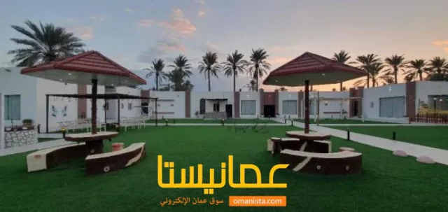 صورة 6
