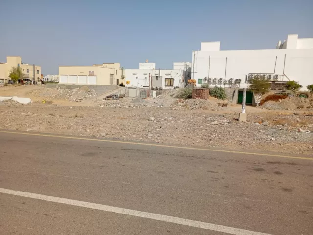 صورة 3