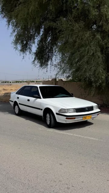 صورة 9