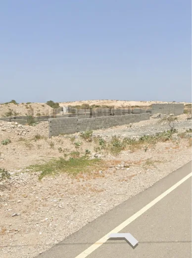 صورة 2