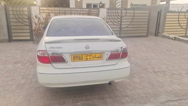 صورة 3