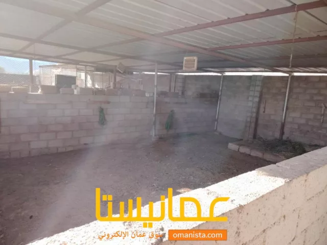 صورة 10