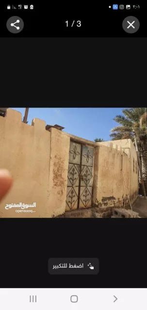 صورة 2