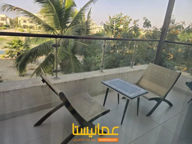 صورة 4