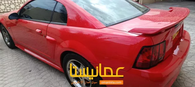 صورة 5