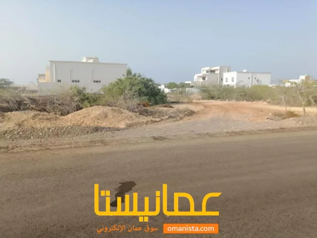 صورة 3