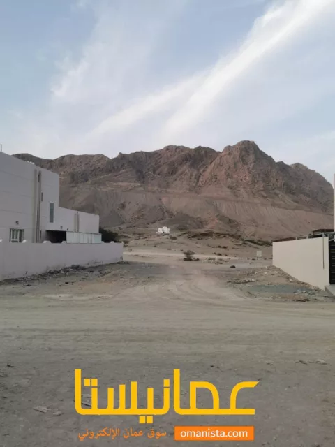 بيعه مستعجله قبل العيد ارخص ارض بالعامرات