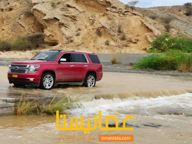صورة 8