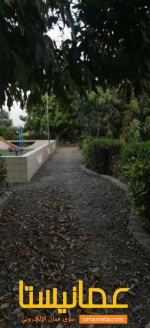 صورة 9