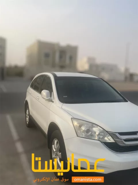 صورة 2