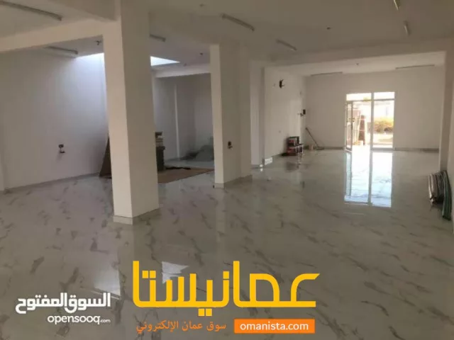 صورة 6