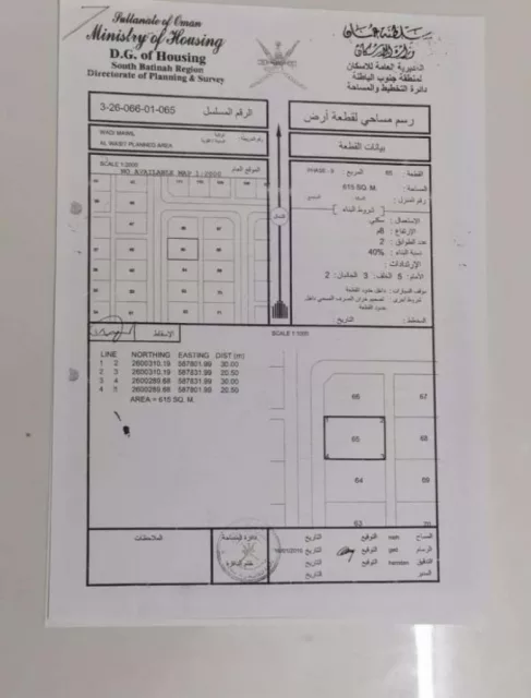 صورة 3