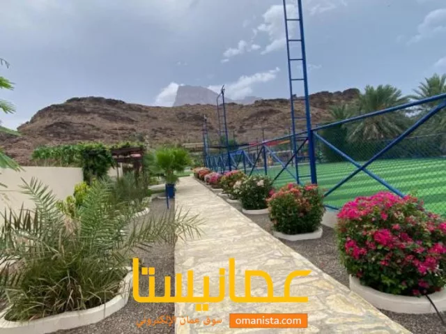 صورة 3