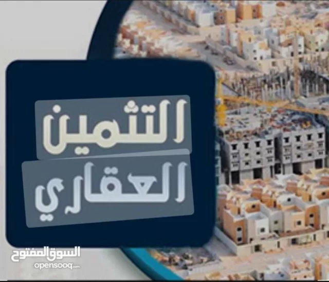صورة 2