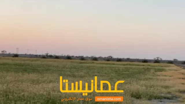 صورة 6