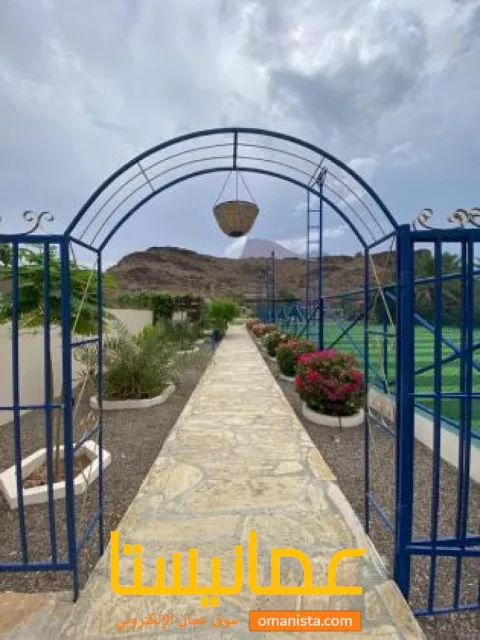 صورة 4