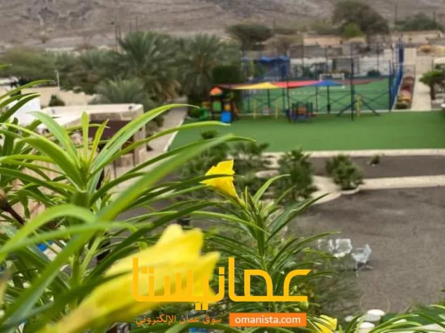 صورة 6