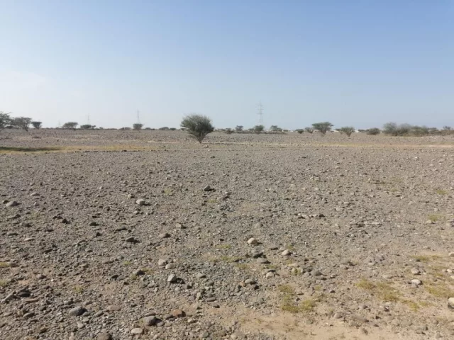 صورة 2
