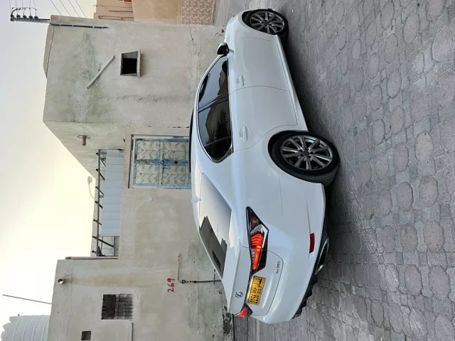 صورة 2