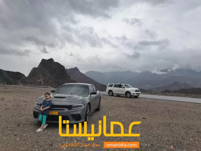 صورة 5