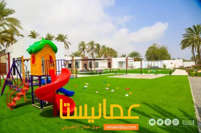 صورة 3