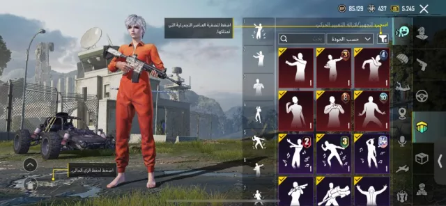 صورة 5