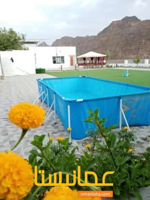 صورة 2