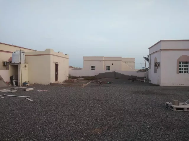 صورة 3