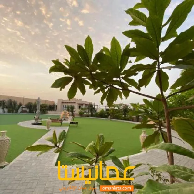 صورة 9