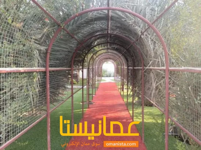 صورة 8