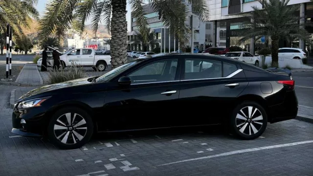 صورة 3