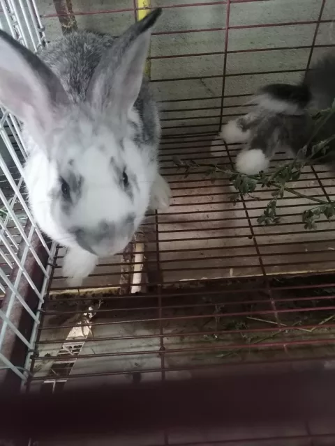 صورة 3