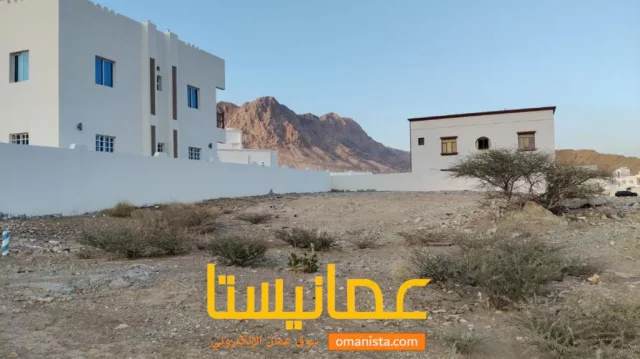 صورة 3