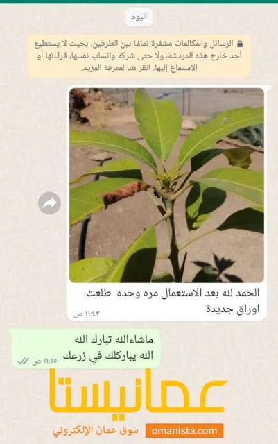 صورة 6