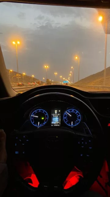 صورة 8