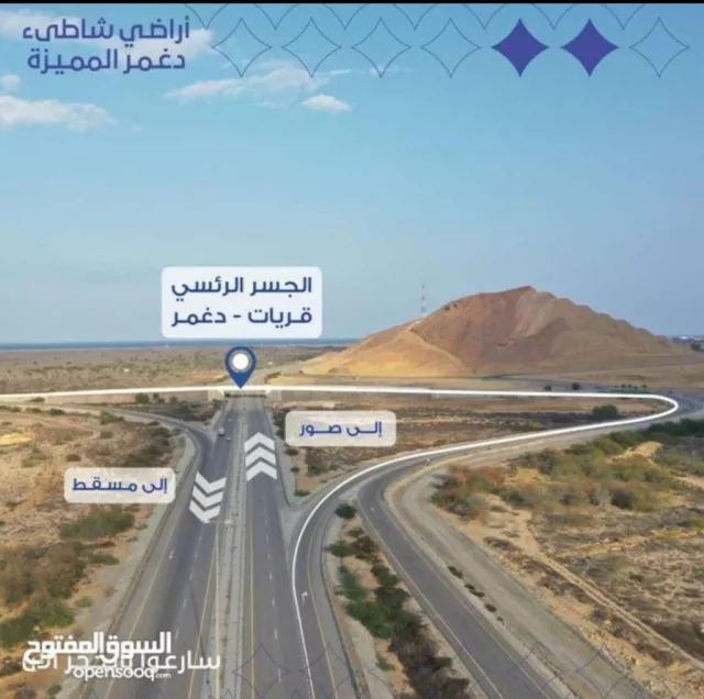 صورة 4