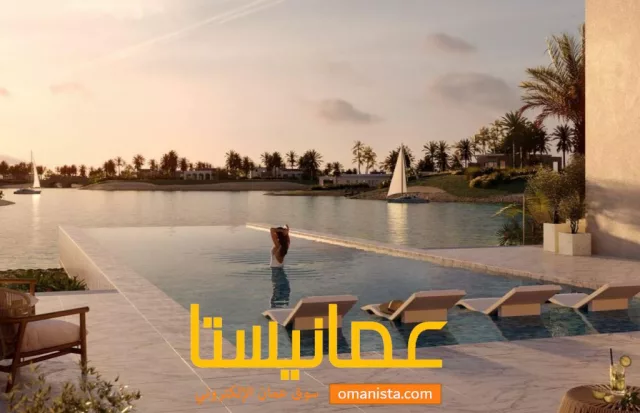 صورة 3