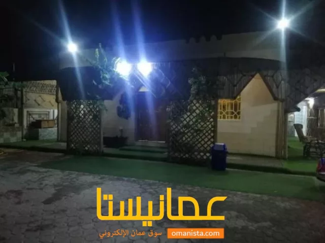 صورة 4