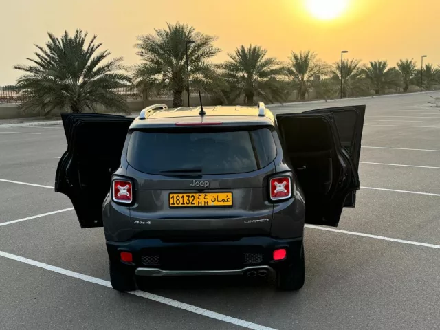 صورة 3